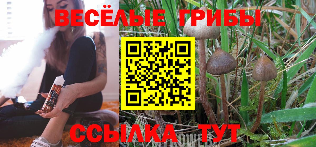 Галлюциногенные грибы GOLDEN TEACHER  наркота  Галлюциногенные грибы Psilocybe  Каспийск  Вход с VPN 